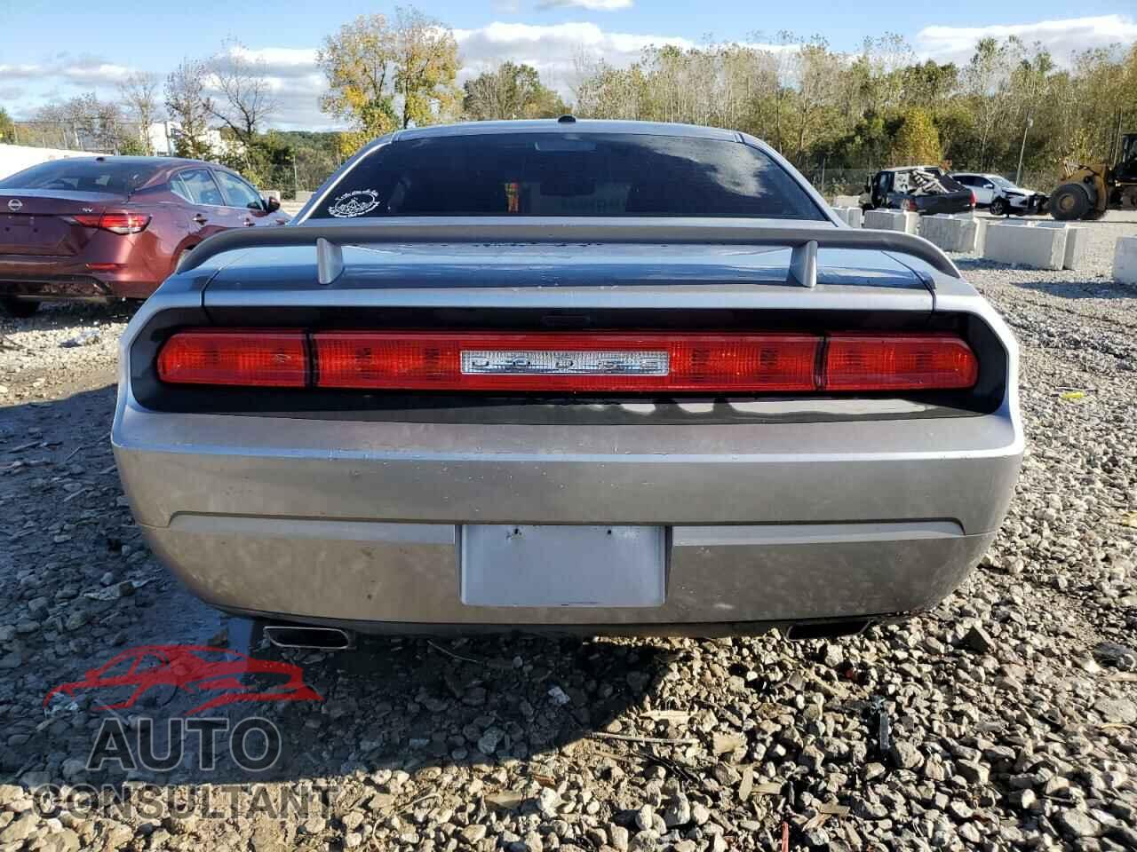 DODGE CHALLENGER 2014 - 2C3CDYBT1EH253388