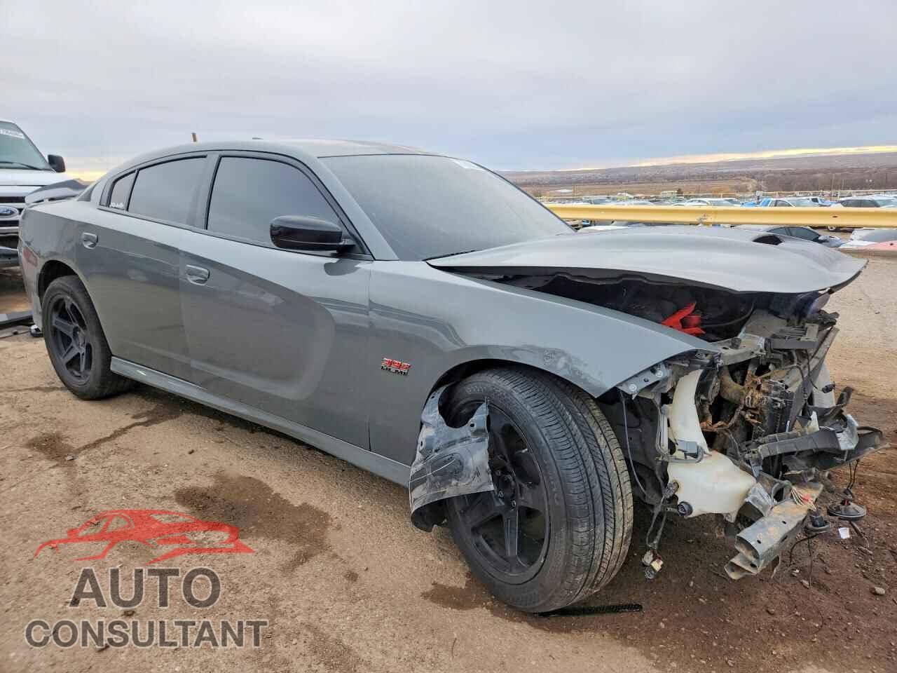 DODGE CHARGER 2019 - 2C3CDXGJ2KH721447