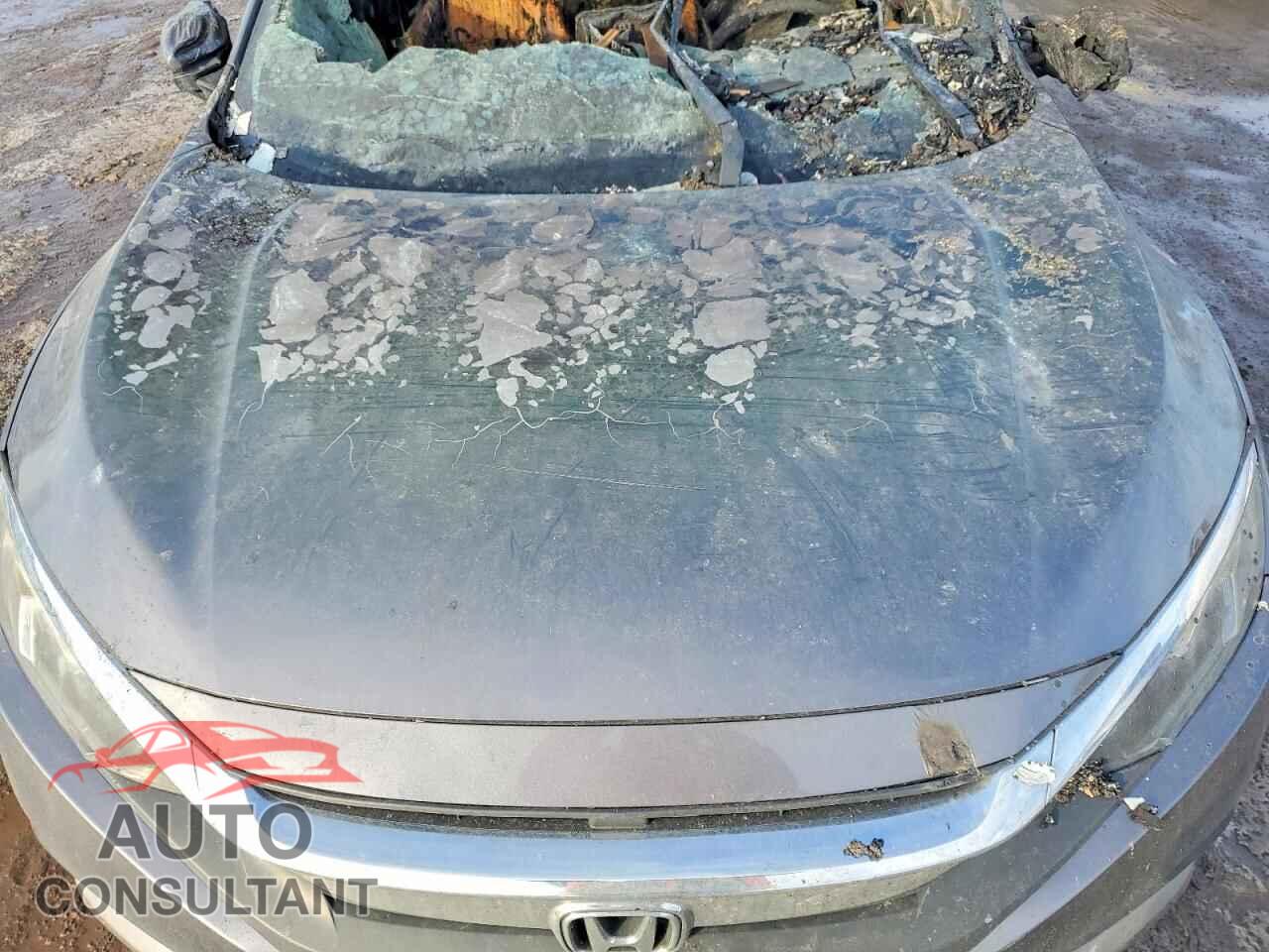 HONDA CIVIC 2017 - 19XFC2F55HE036429