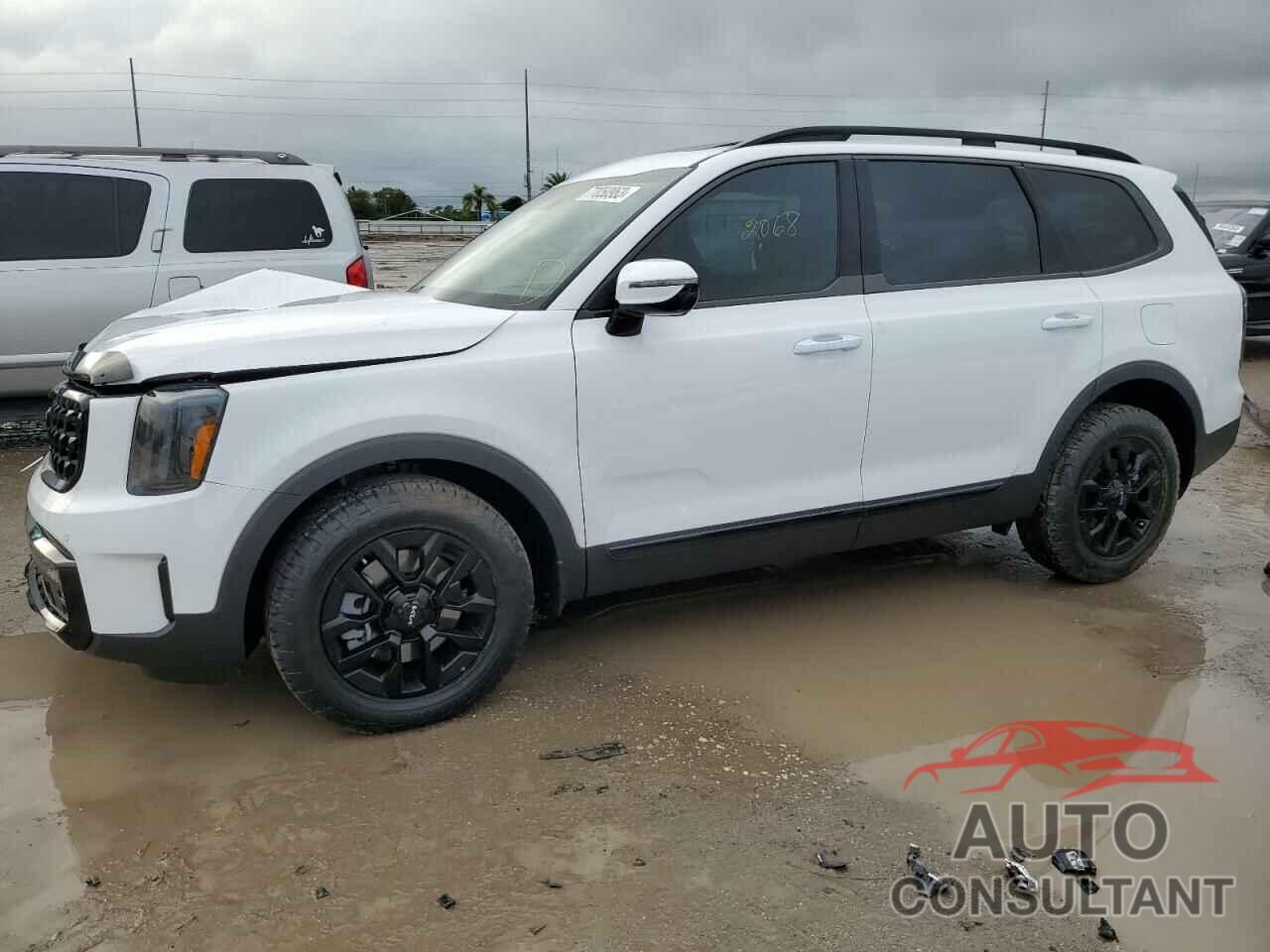 KIA TELLURIDE 2024 - 5XYP5DGCXRG439060