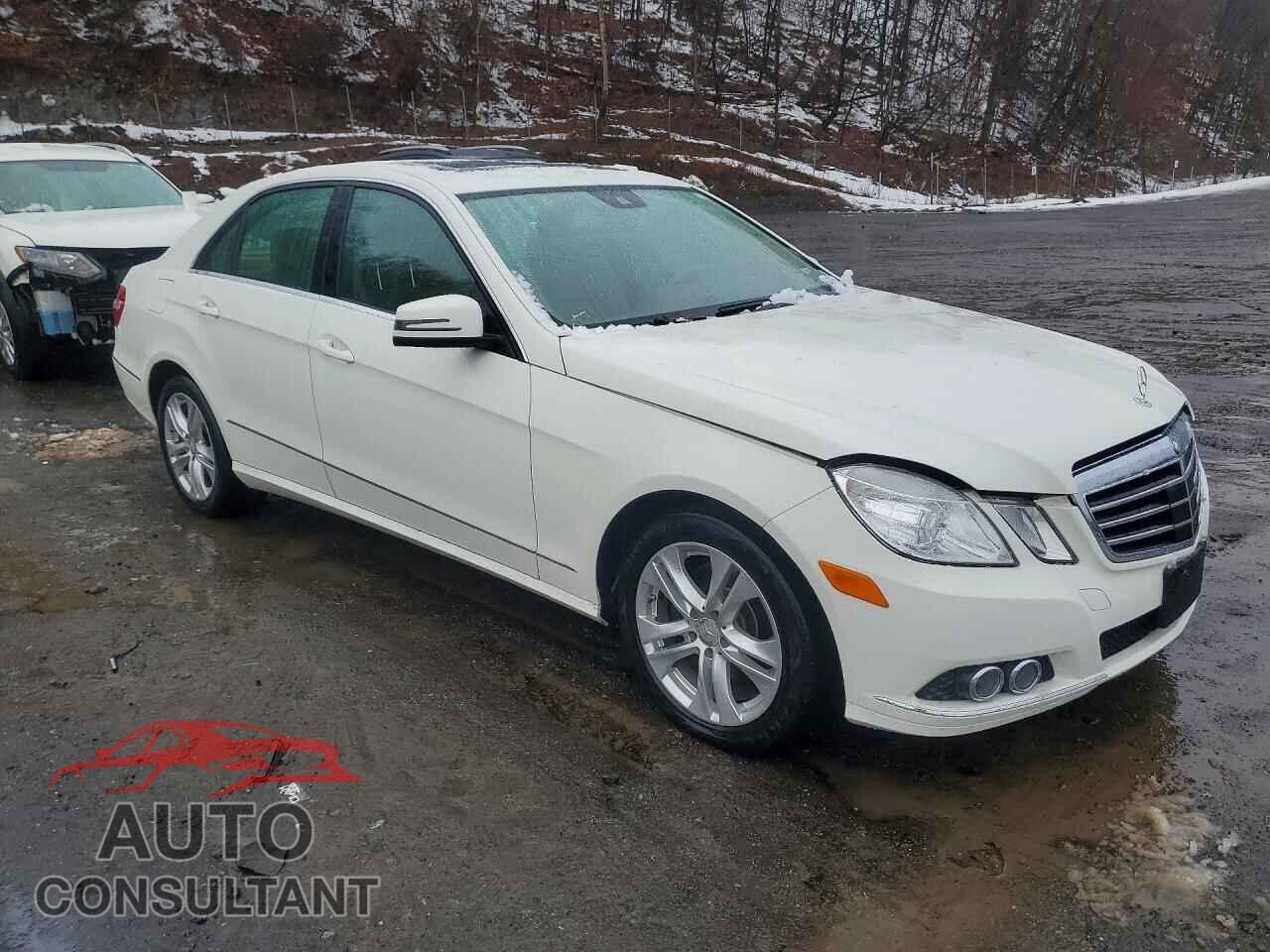 MERCEDES-BENZ E-CLASS 2010 - WDDHF8HB7AA090271