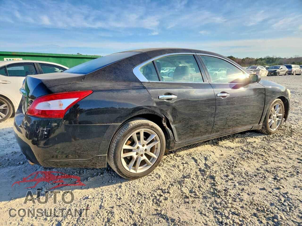 NISSAN MAXIMA 2010 - 1N4AA5AP1AC813816