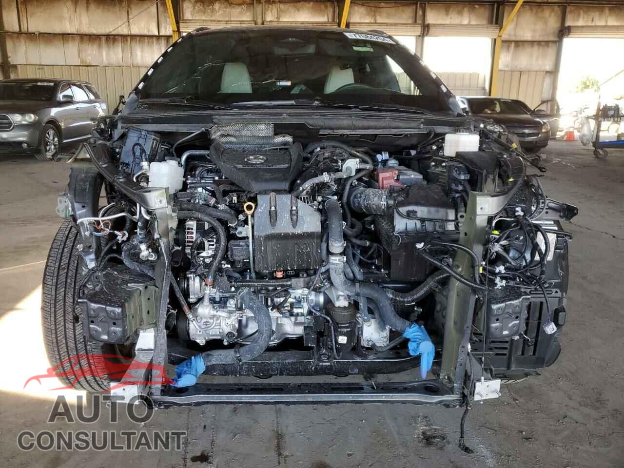 LEXUS RX350 2024 - 2T2BAMBA8RC033541