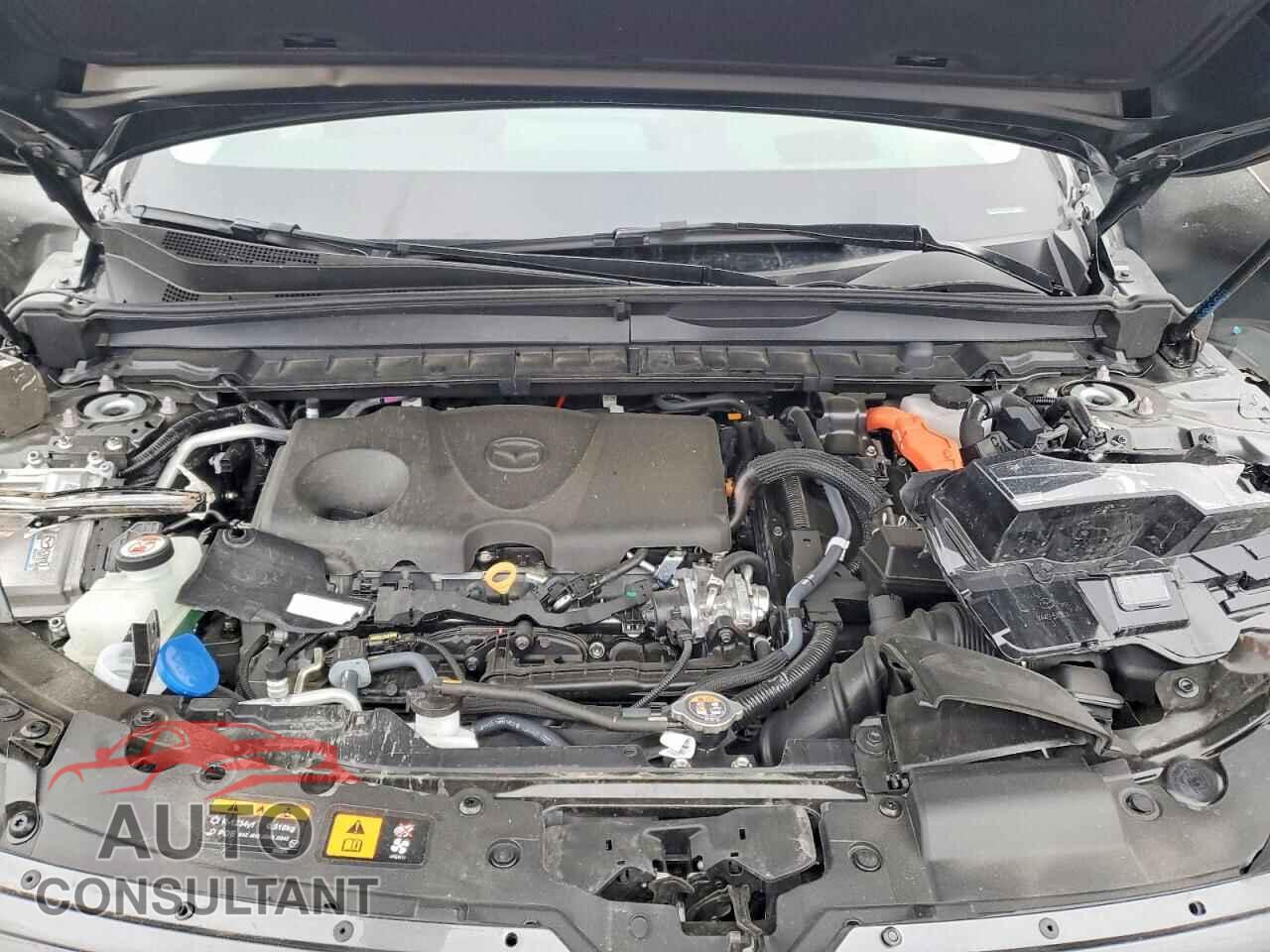 MAZDA CX-50 2025 - 7MMVAAEW1SN122006