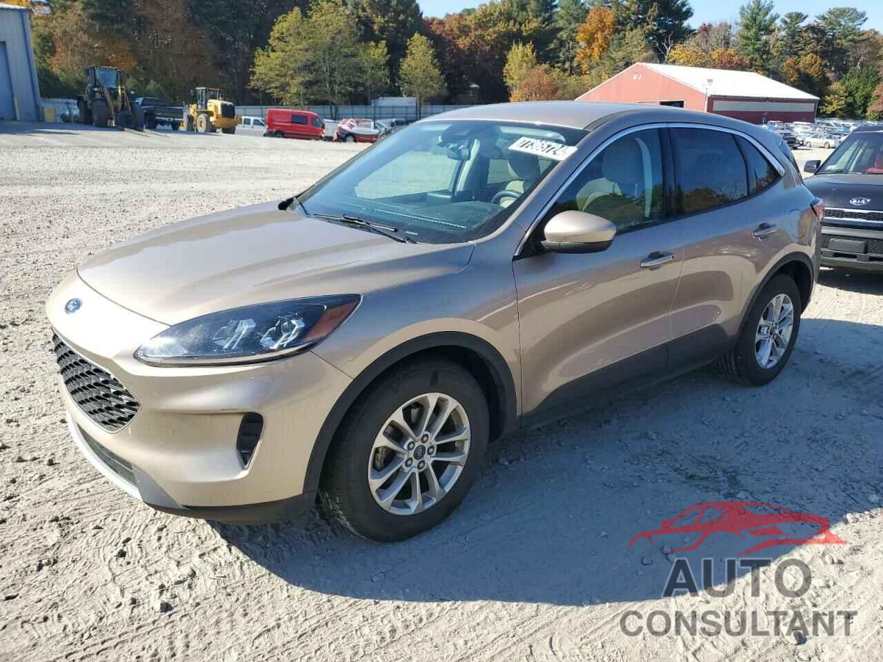 FORD ESCAPE 2021 - 1FMCU0G66MUA67420