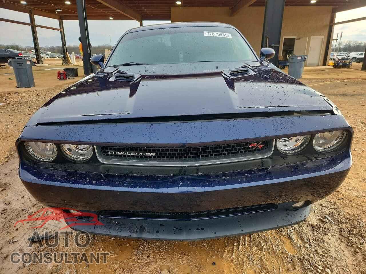 DODGE CHALLENGER 2014 - 2C3CDYBT5EH101601