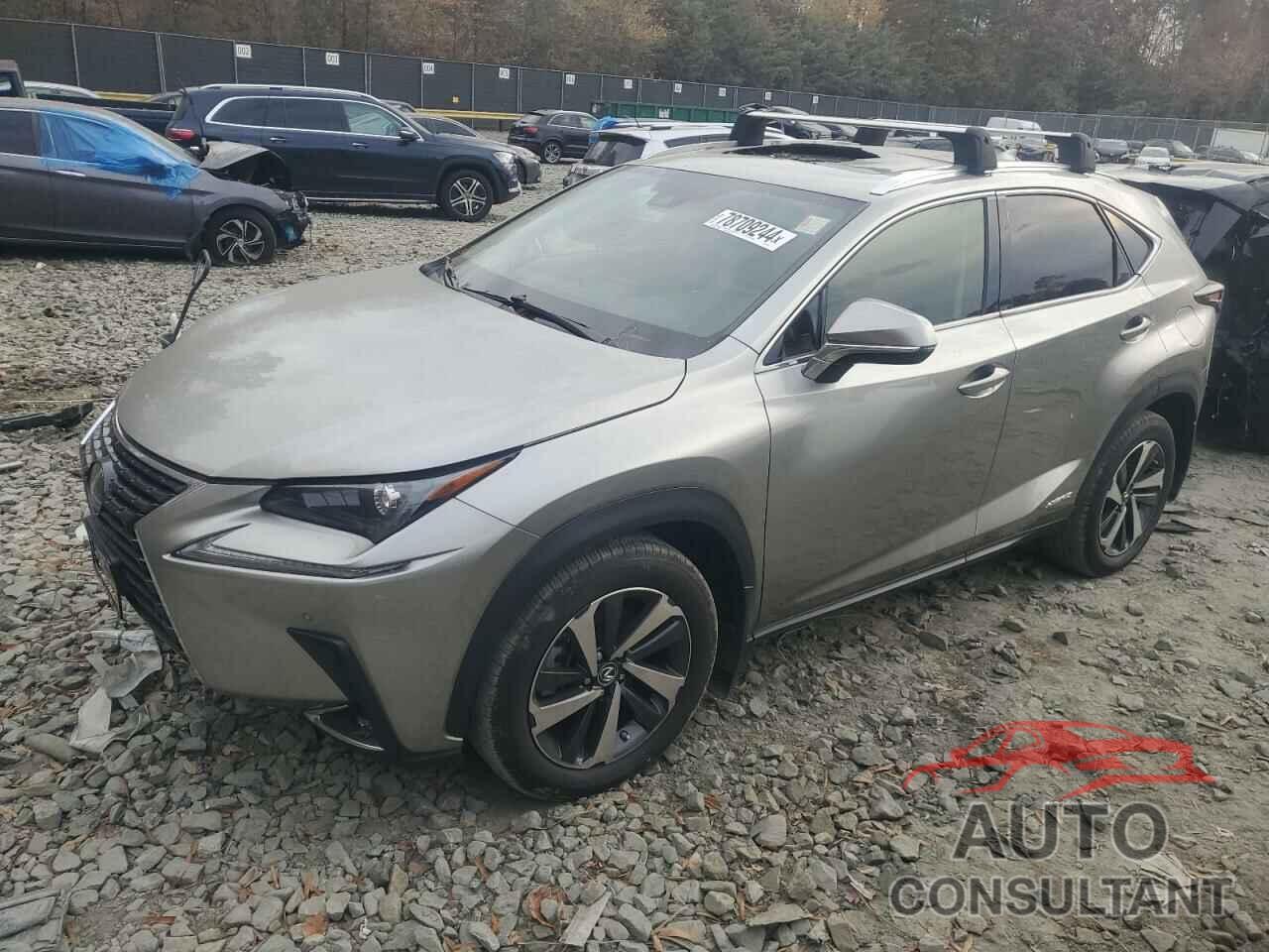 LEXUS NX 2021 - JTJGJRDZ7M2161509