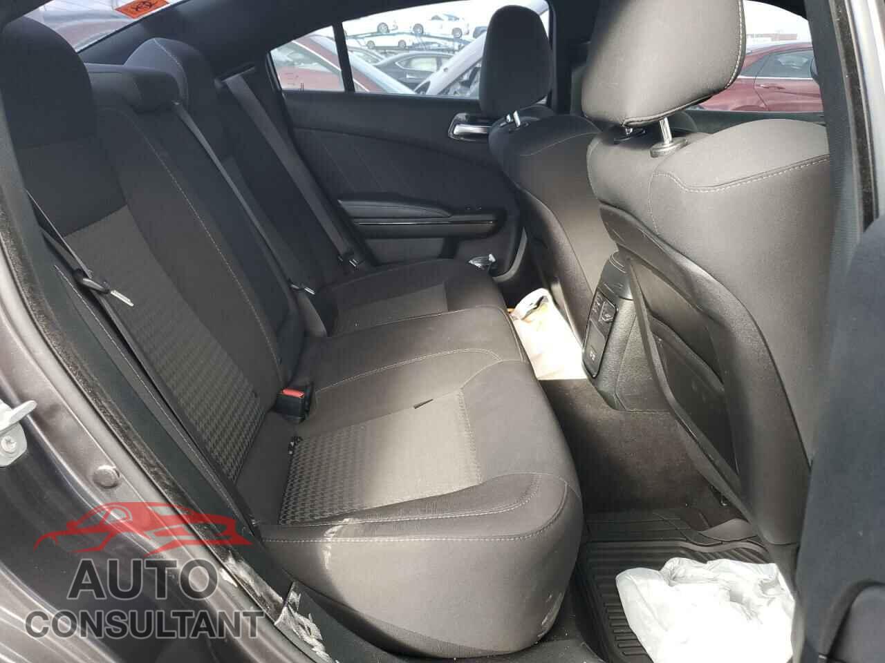 DODGE CHARGER 2019 - 2C3CDXCTXKH643183