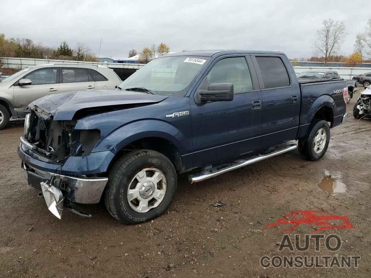 FORD F-150 2013 - 1FTFW1EF6DFA88129