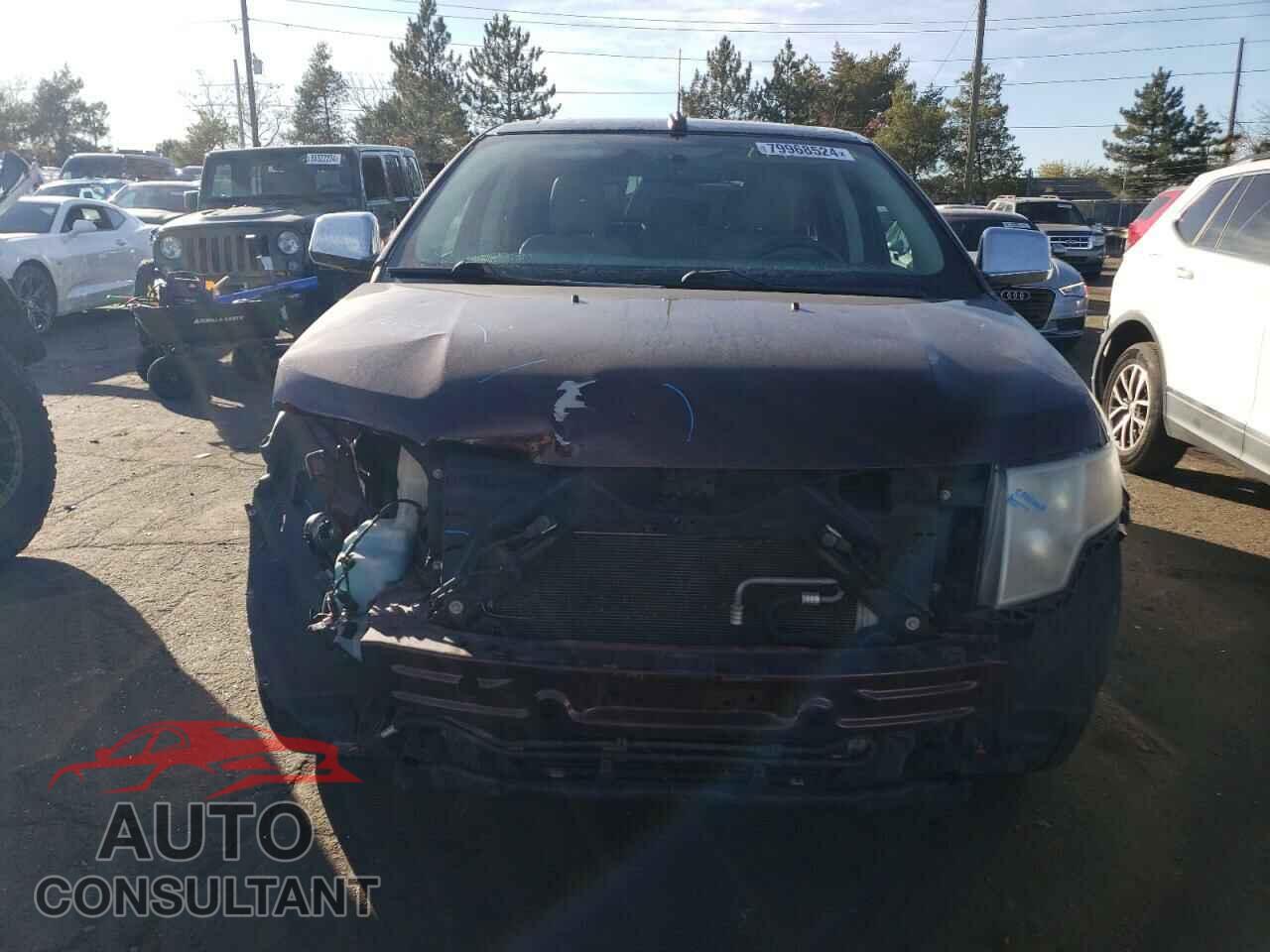 FORD EDGE 2009 - 2FMDK38C19BA82775