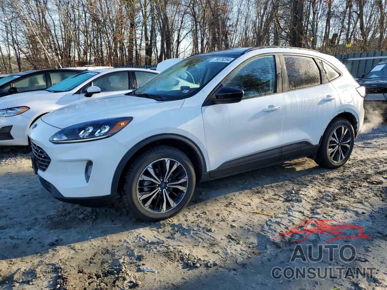 FORD ESCAPE 2021 - 1FMCU9H94MUB05210