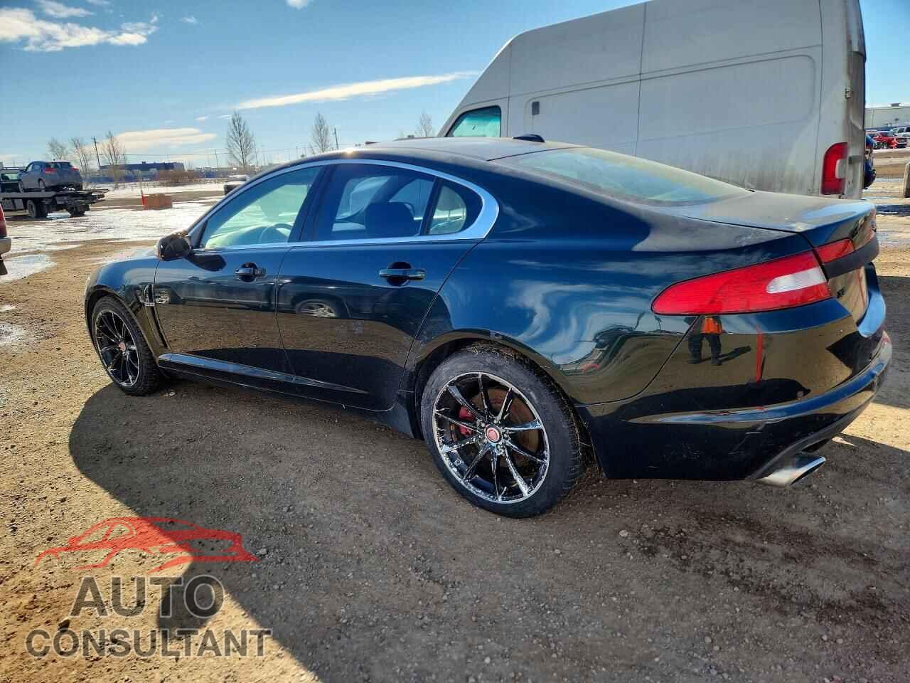 JAGUAR XF 2009 - SAJXA06B29HR05098