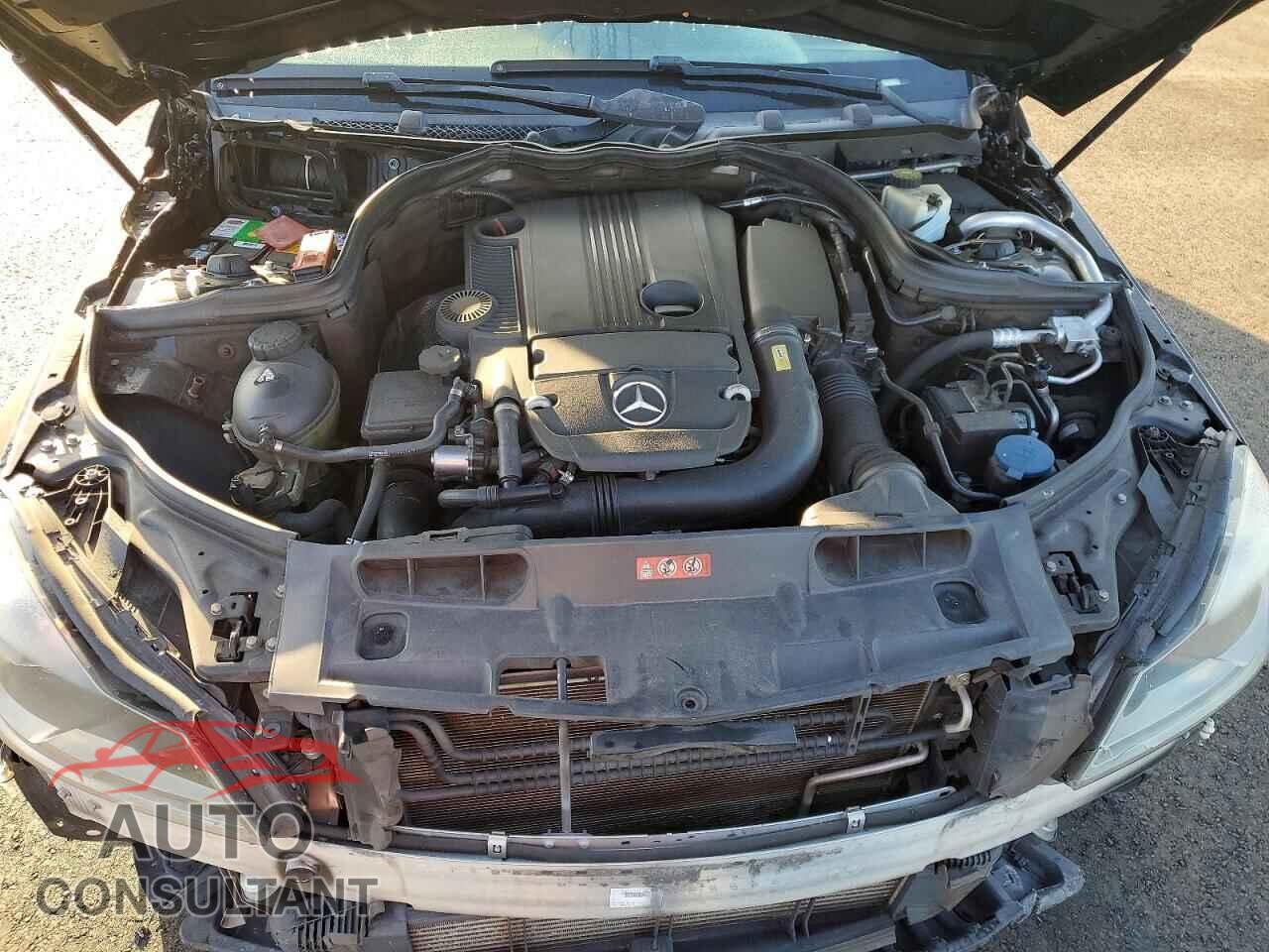 MERCEDES-BENZ C-CLASS 2013 - WDDGF4HB9DA829360