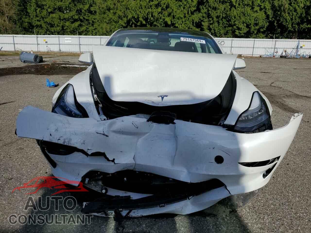 TESLA MODEL 3 2019 - 5YJ3E1EA0KF426376