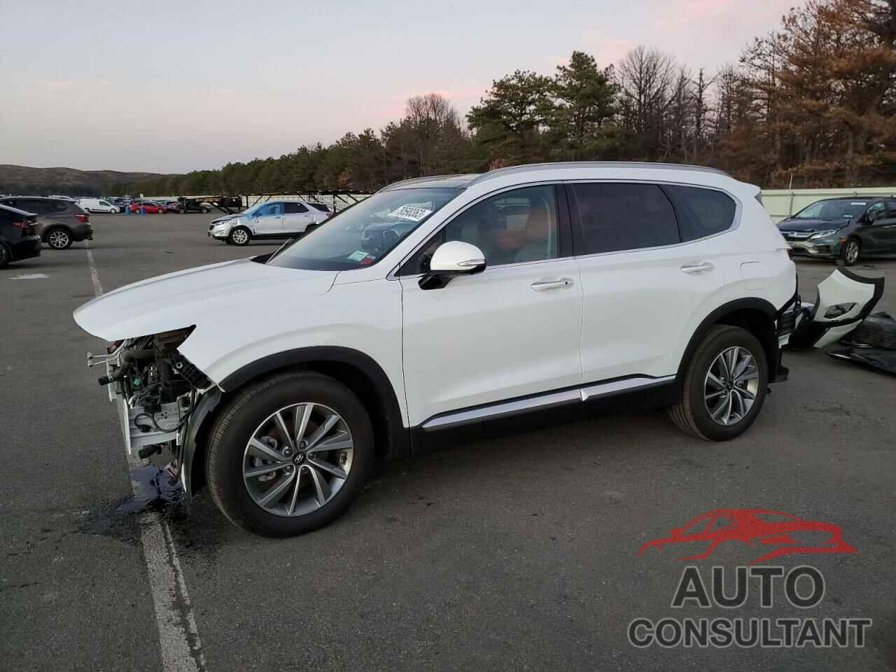 HYUNDAI SANTA FE 2019 - 5NMS5CAD5KH113930