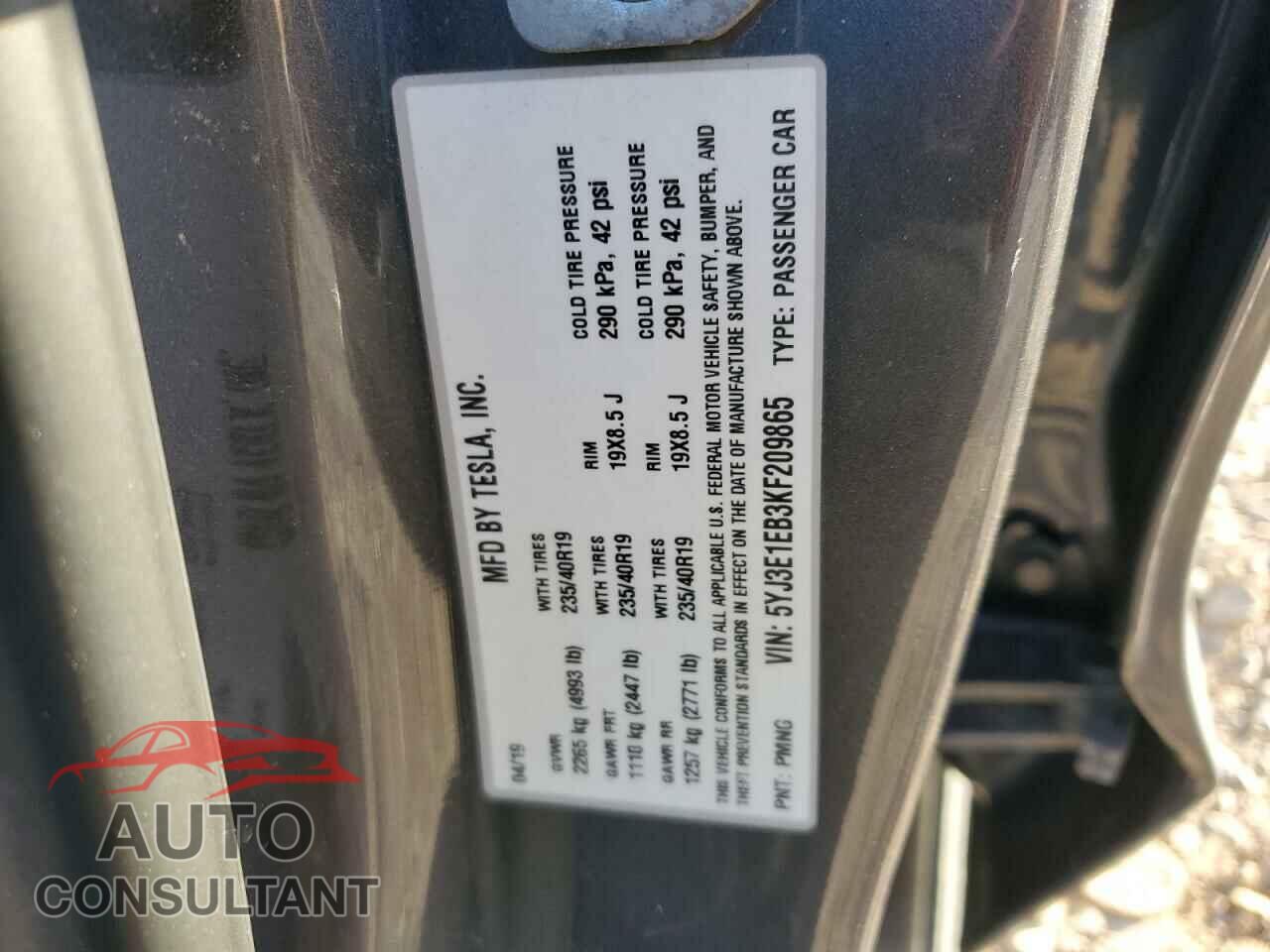 TESLA MODEL 3 2019 - 5YJ3E1EB3KF209865
