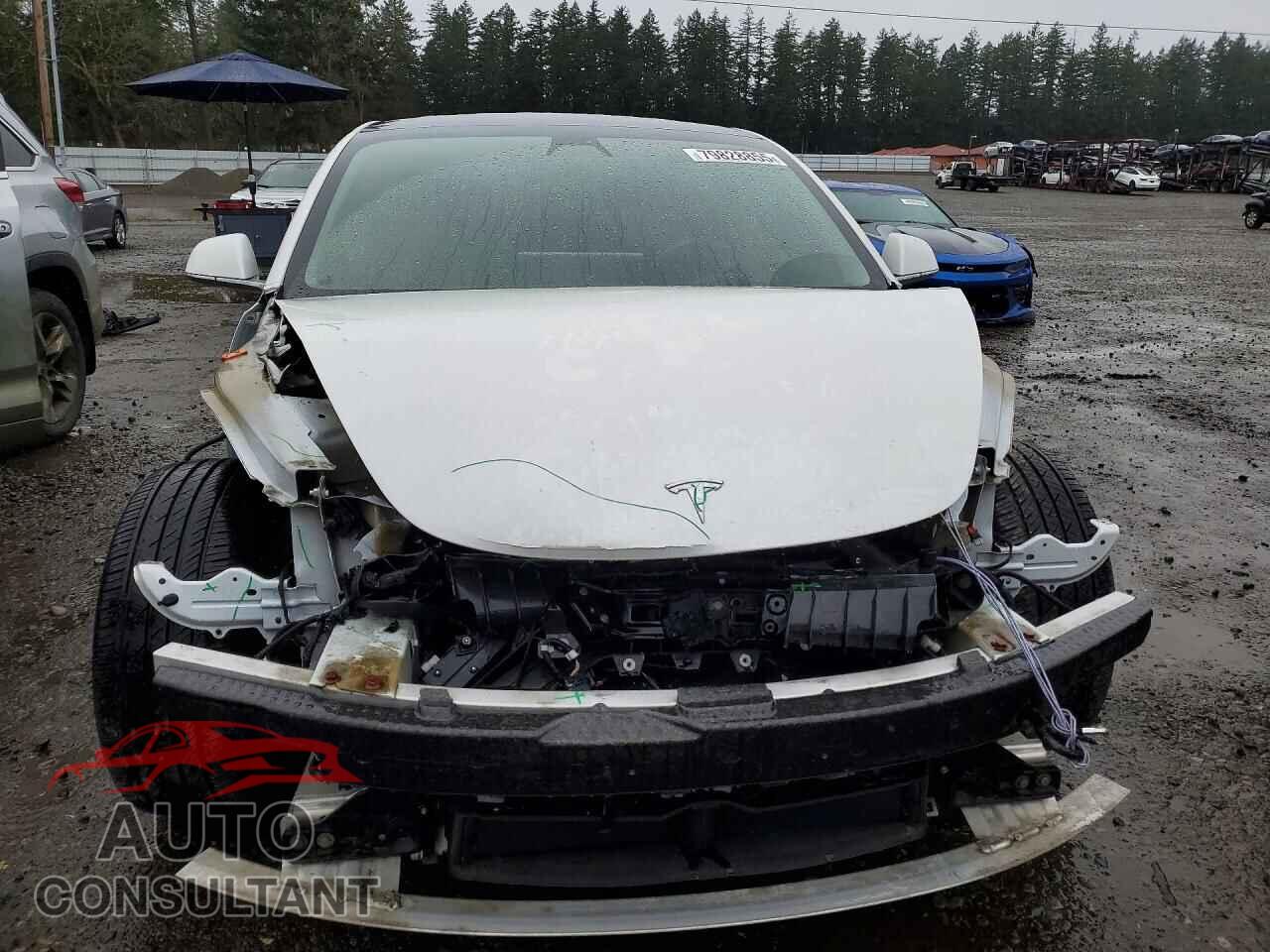 TESLA MODEL 3 2019 - 5YJ3E1EA0KF430749