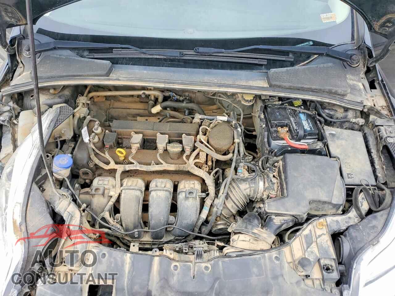 FORD FOCUS 2013 - 1FADP3F29DL207651