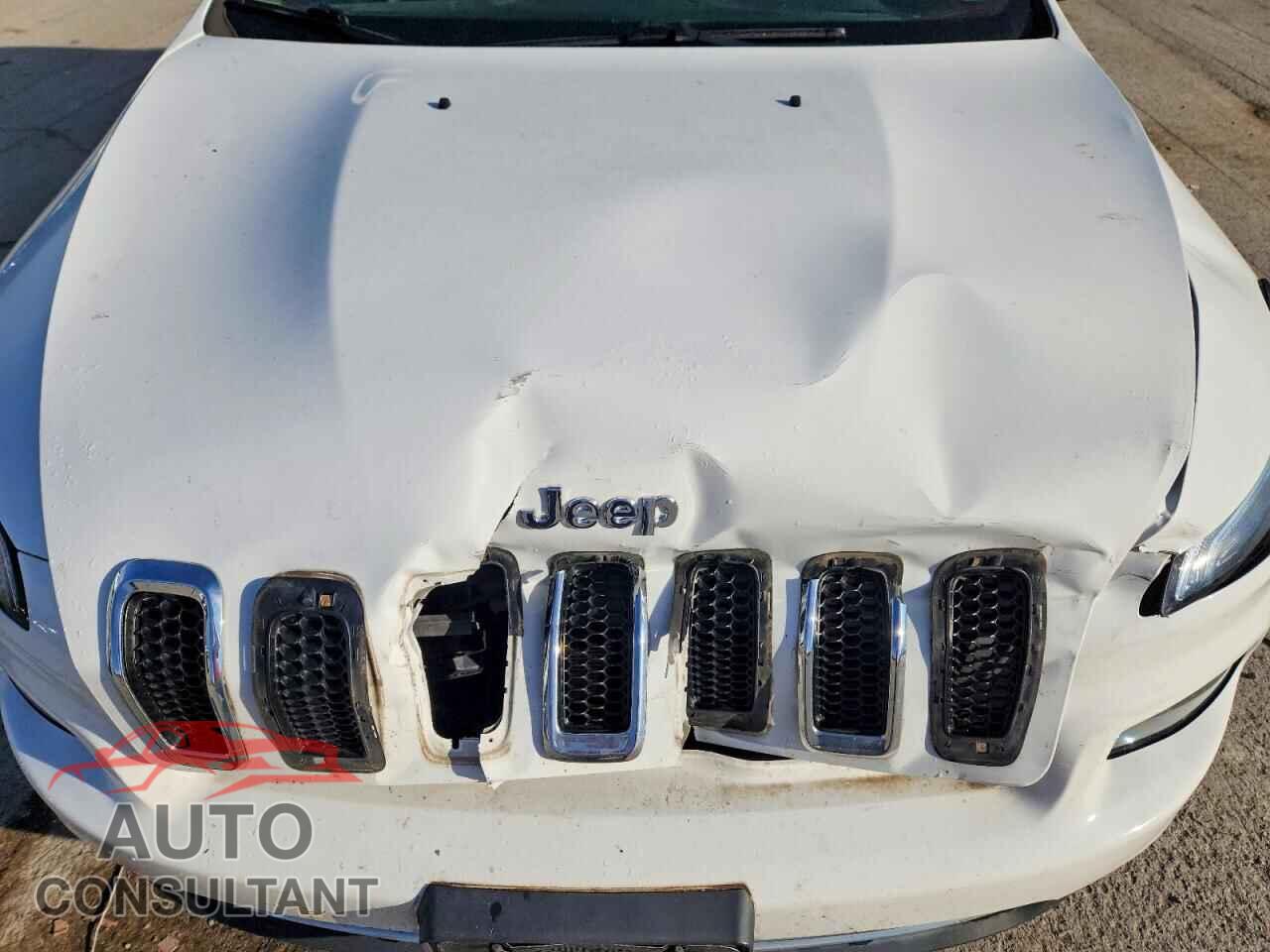 JEEP CHEROKEE 2017 - 1C4PJMDB5HW515406