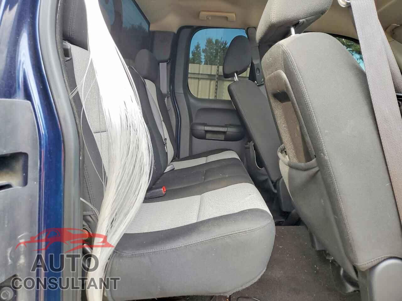 CHEVROLET SILVERADO 2009 - 1GCEK19C99Z181904