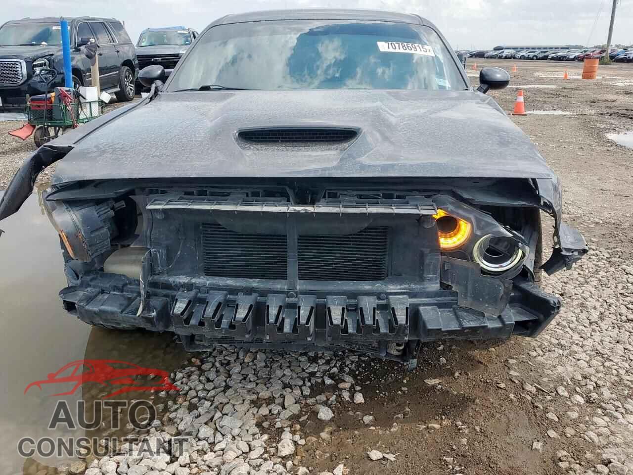 DODGE CHALLENGER 2019 - 2C3CDZBTXKH557028