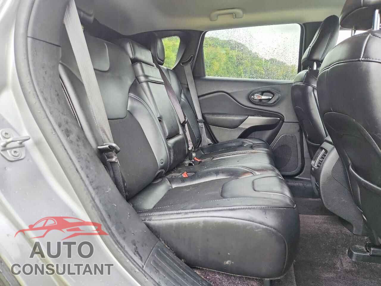 JEEP CHEROKEE 2019 - 1C4PJMLB2KD233714