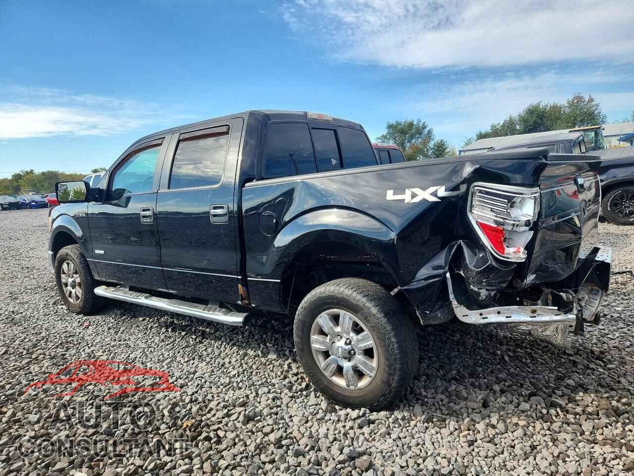 FORD F150 2011 - 1FTFW1ET1BKD97064