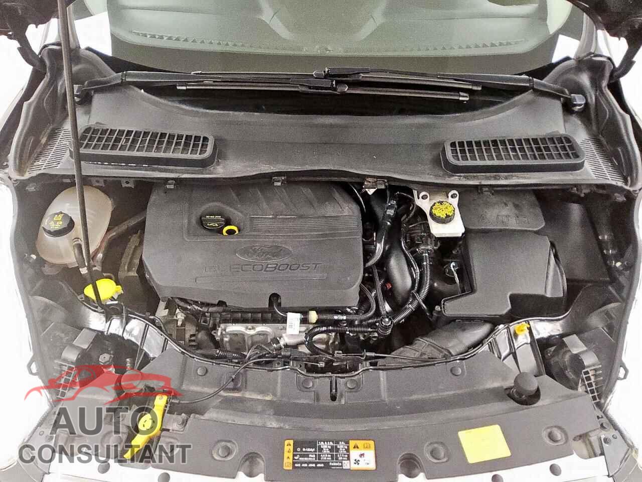 FORD ESCAPE 2018 - 1FMCU9GD4JUB16192