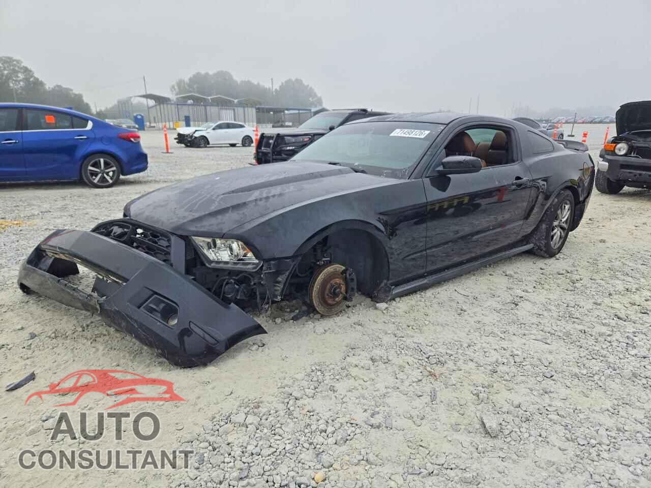 FORD MUSTANG 2011 - 1ZVBP8AM4B5155643