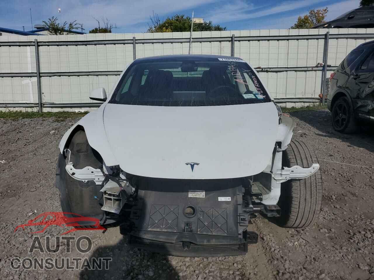 TESLA MODEL 3 2021 - 5YJ3E1EBXMF992279
