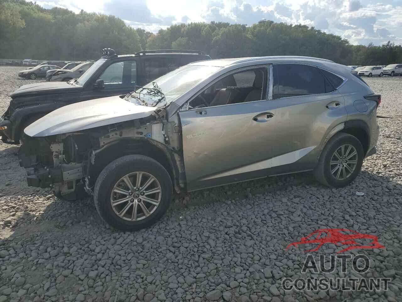 LEXUS NX 2018 - JTJBARBZ7J2155265