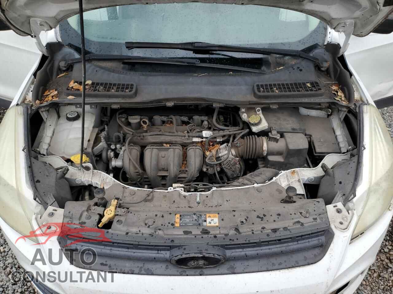 FORD ESCAPE 2013 - 1FMCU0F75DUC20265