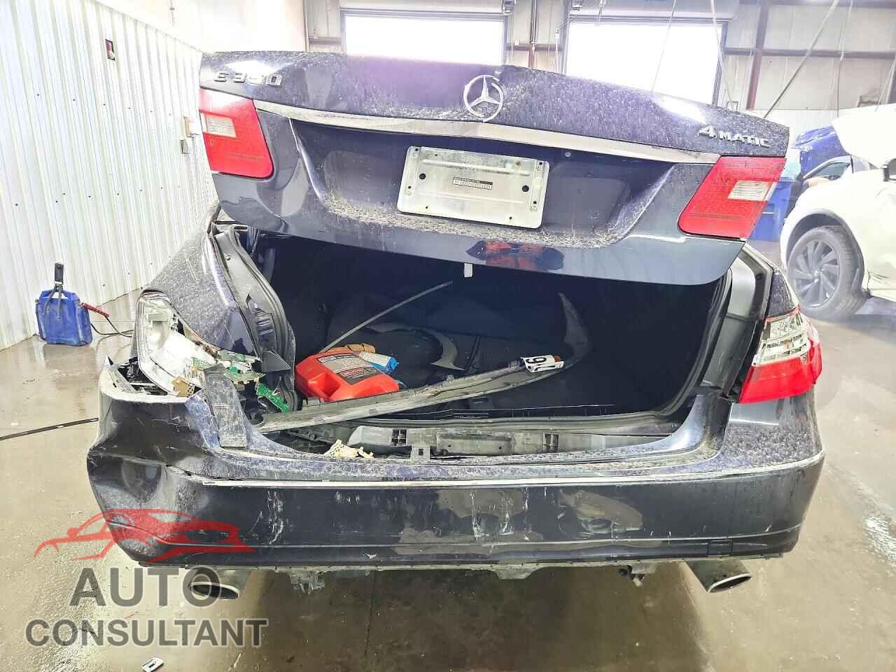 MERCEDES-BENZ E-CLASS 2011 - WDDHF8HBXBA387780