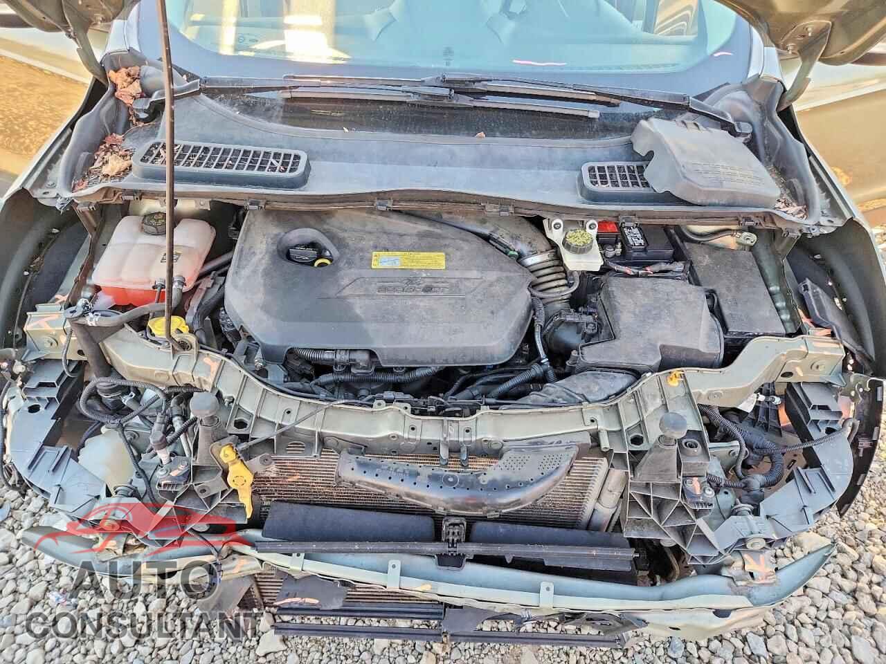 FORD ESCAPE 2013 - 1FMCU0HX4DUB01099