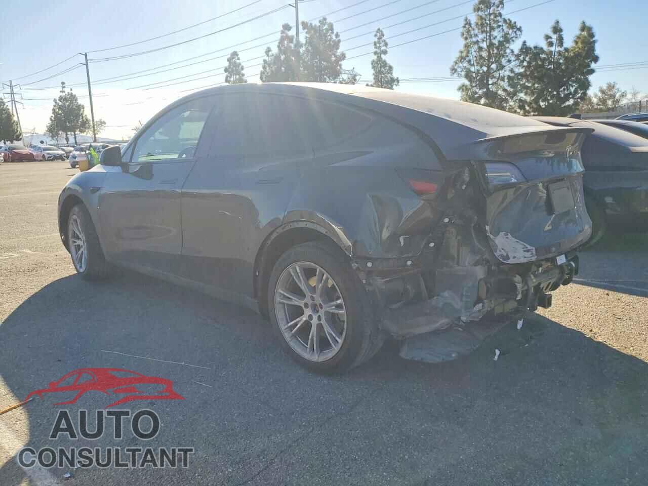 TESLA MODEL Y 2024 - 7SAYGDED8RF009578