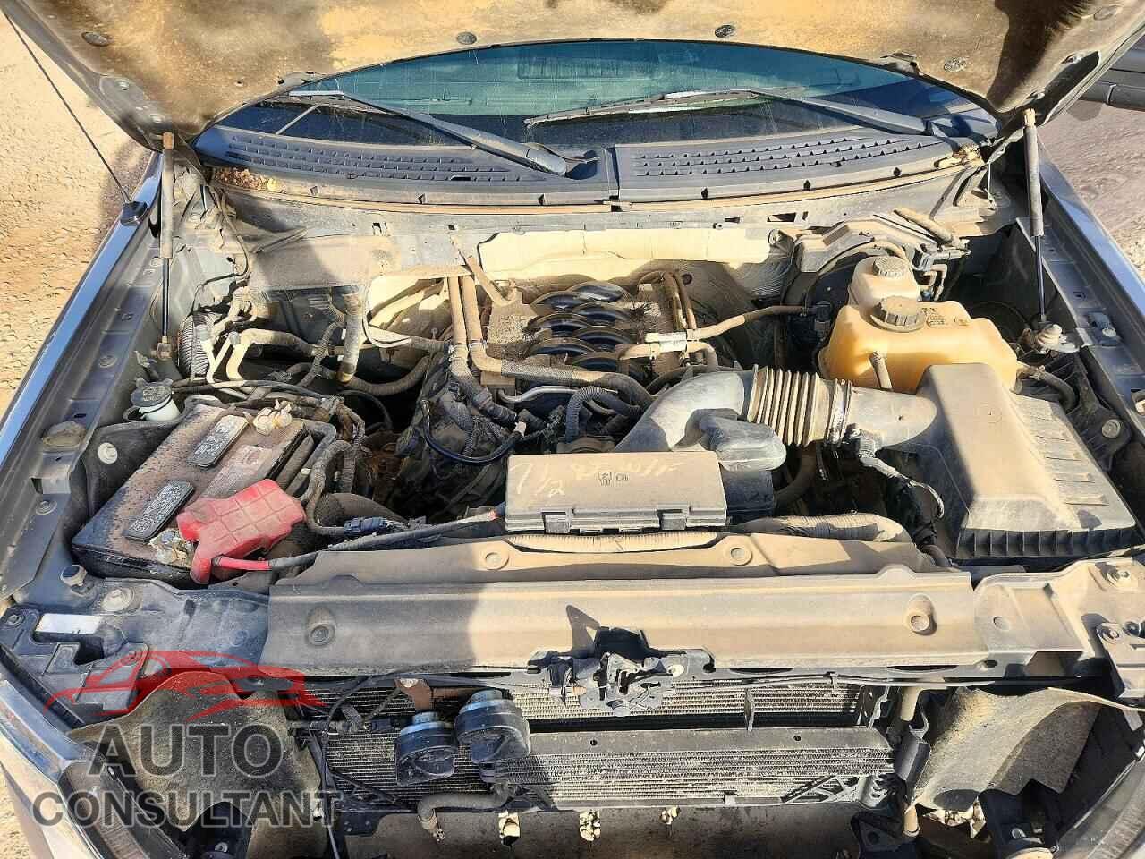 FORD F150 2011 - 1FTFX1EF2BFC28512