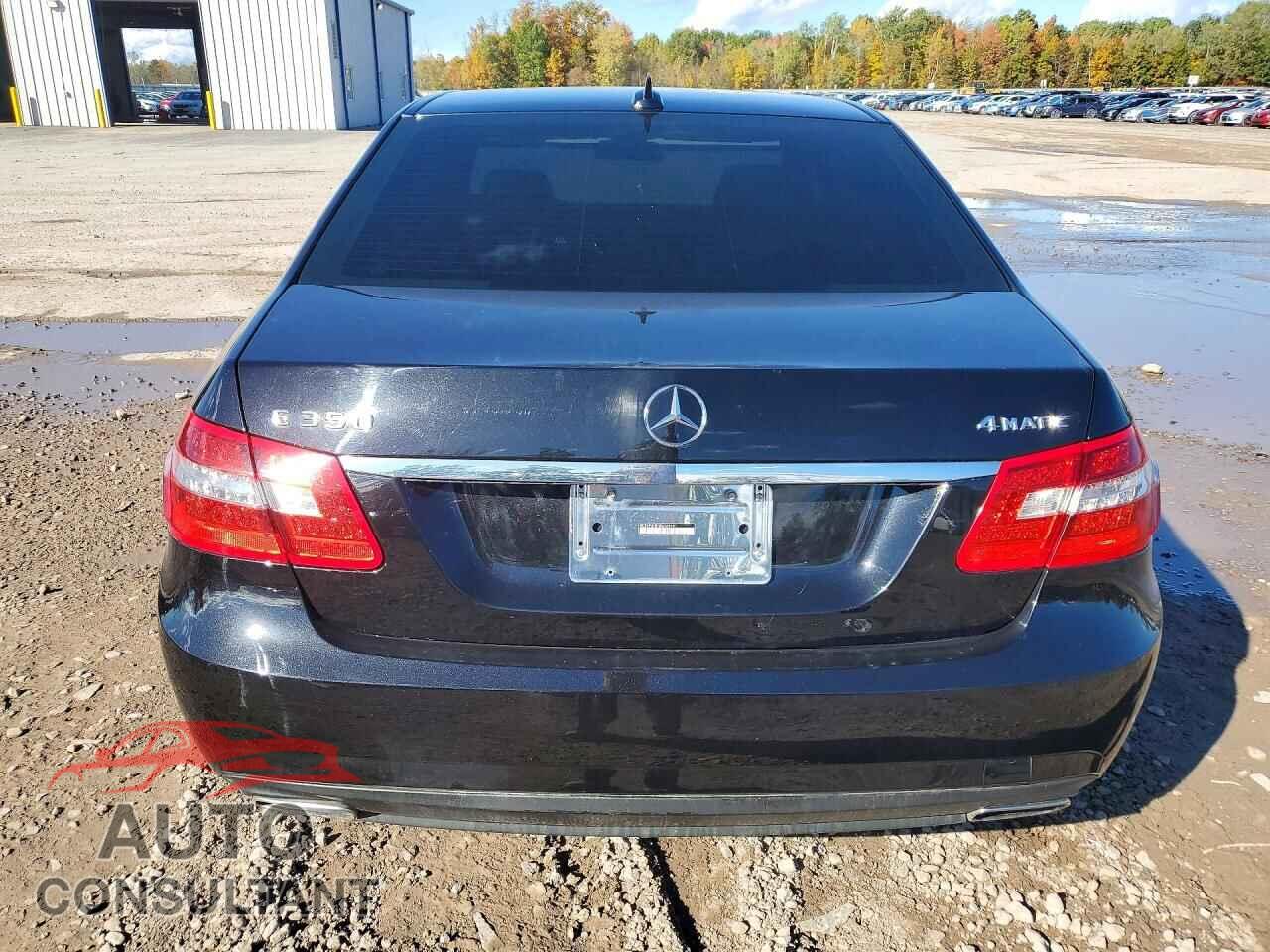 MERCEDES-BENZ E-CLASS 2011 - WDDHF8HB0BA365691