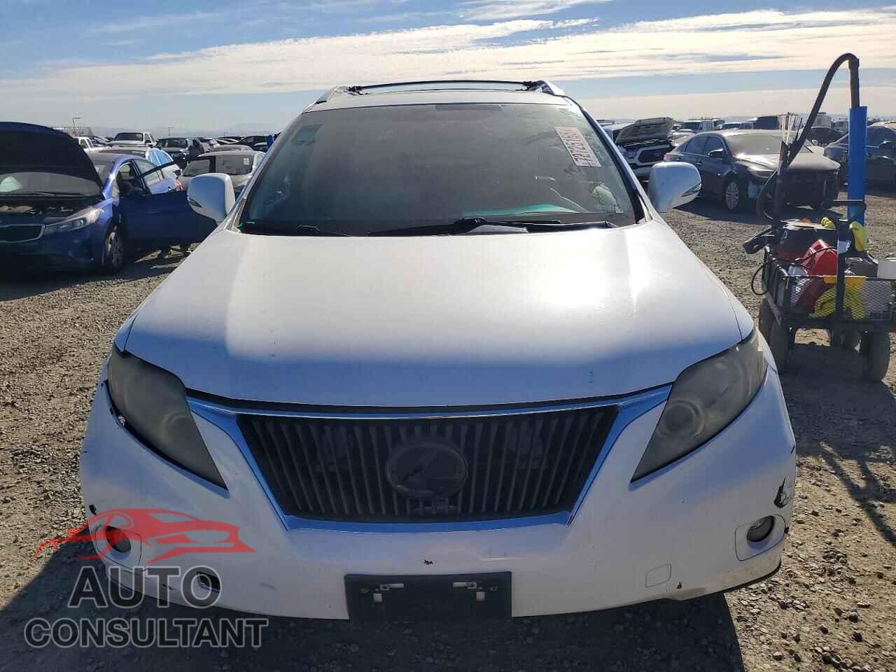 LEXUS RX350 2010 - 2T2BK1BA5AC063435