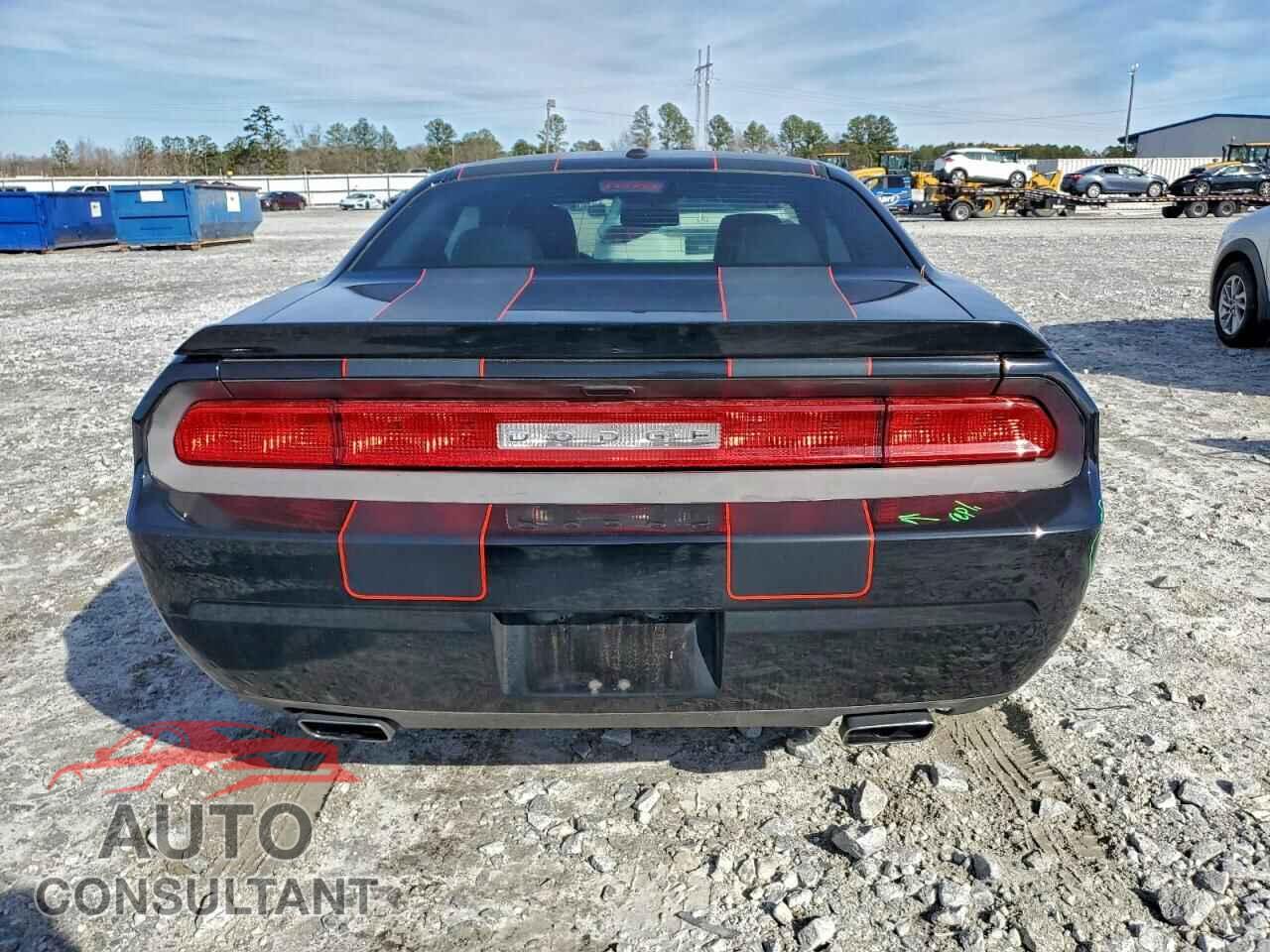 DODGE CHALLENGER 2013 - 2C3CDYBT8DH614419