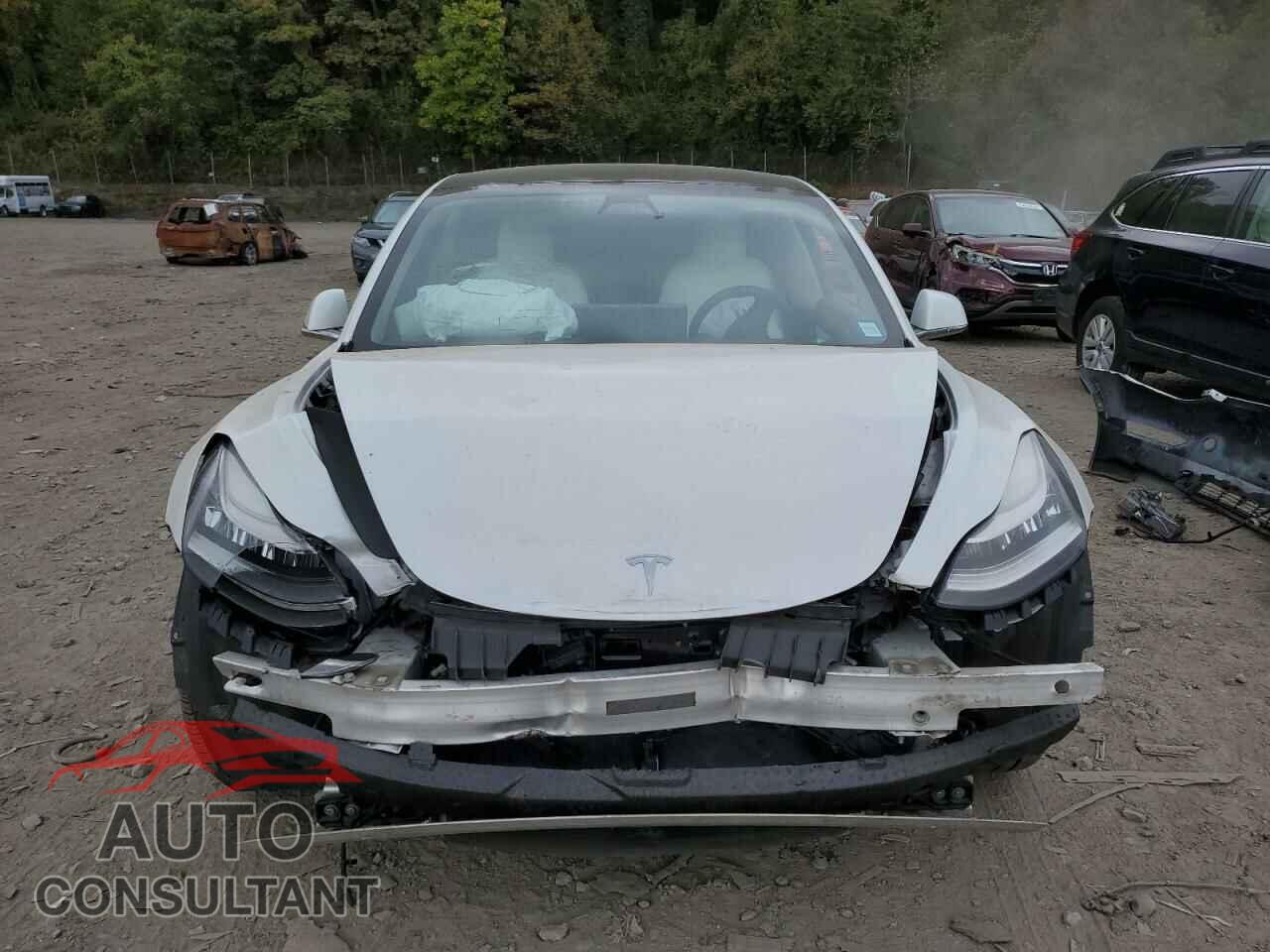 TESLA MODEL 3 2020 - 5YJ3E1EB9LF796087