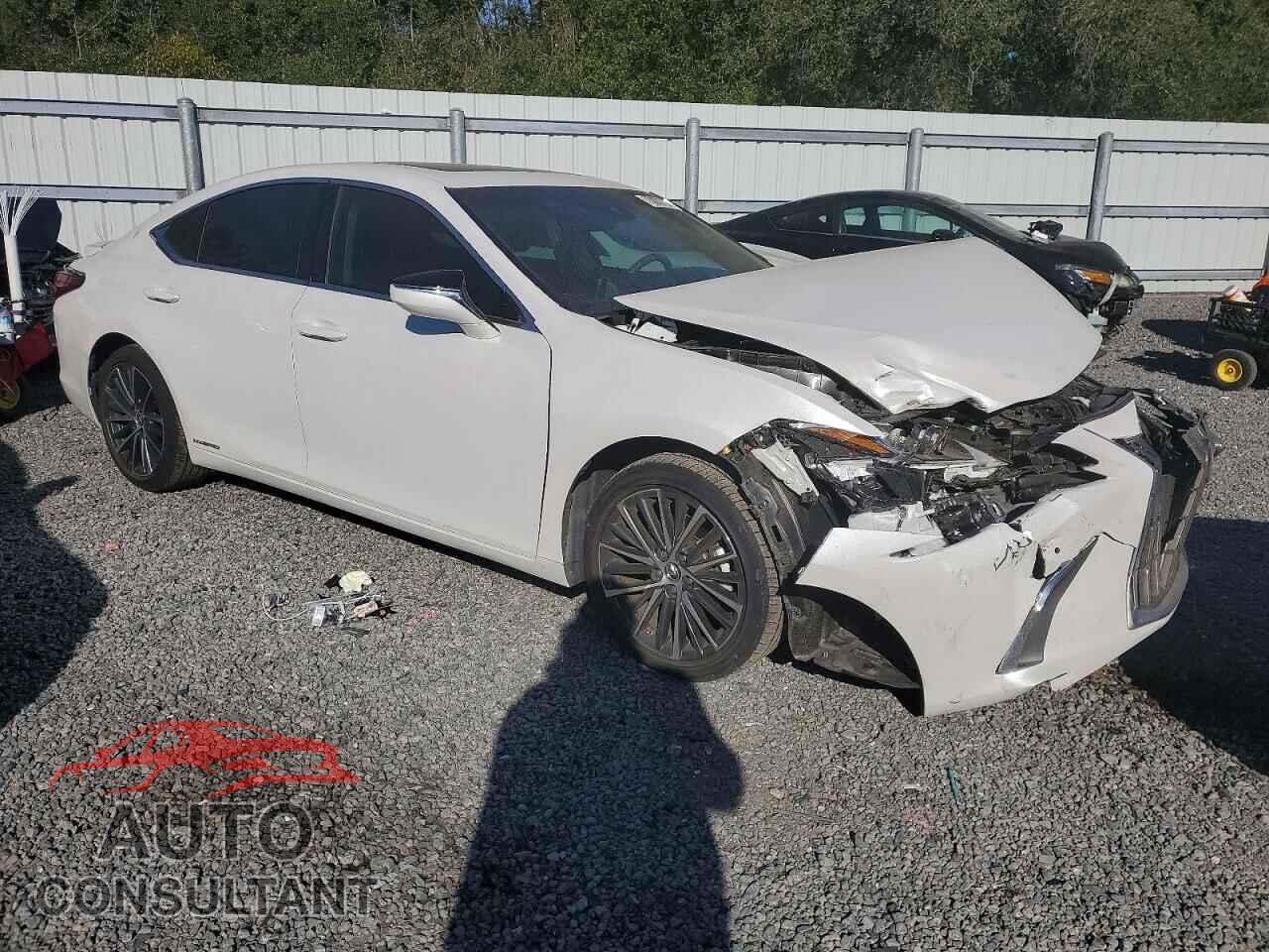 LEXUS ES300 2022 - 58ADA1C18NU024091