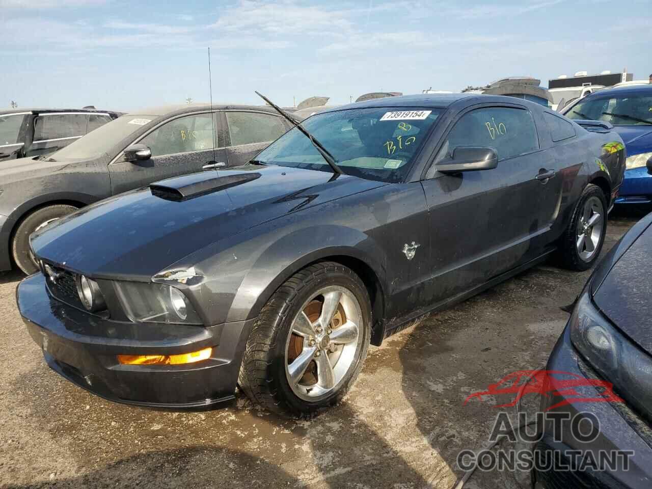 FORD MUSTANG 2009 - 1ZVHT82H895139124