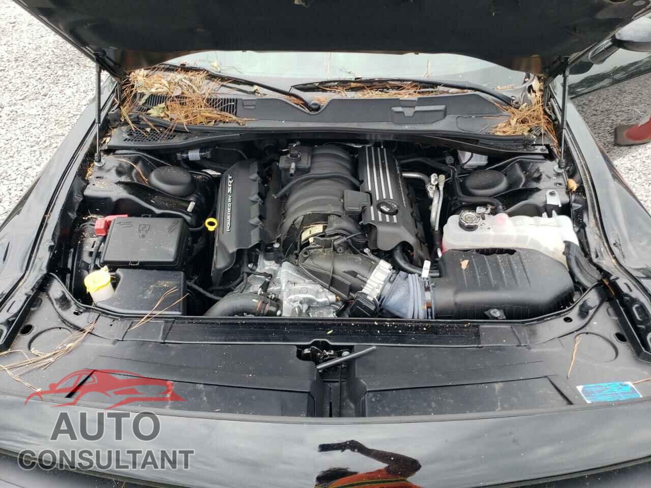 DODGE CHALLENGER 2023 - 2C3CDZFJ8PH684666