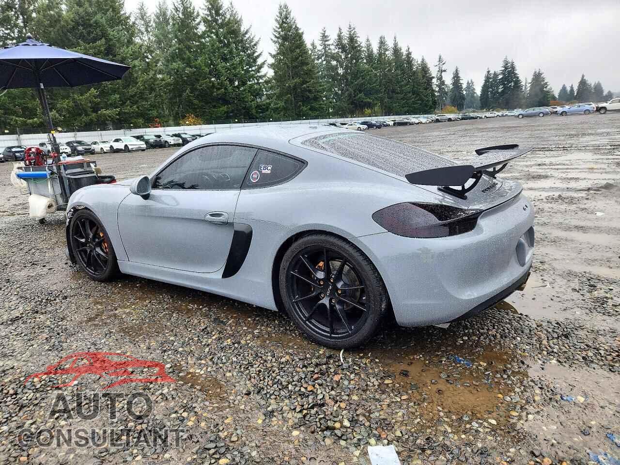 PORSCHE CAYMAN 2015 - WP0AA2A82FK164123