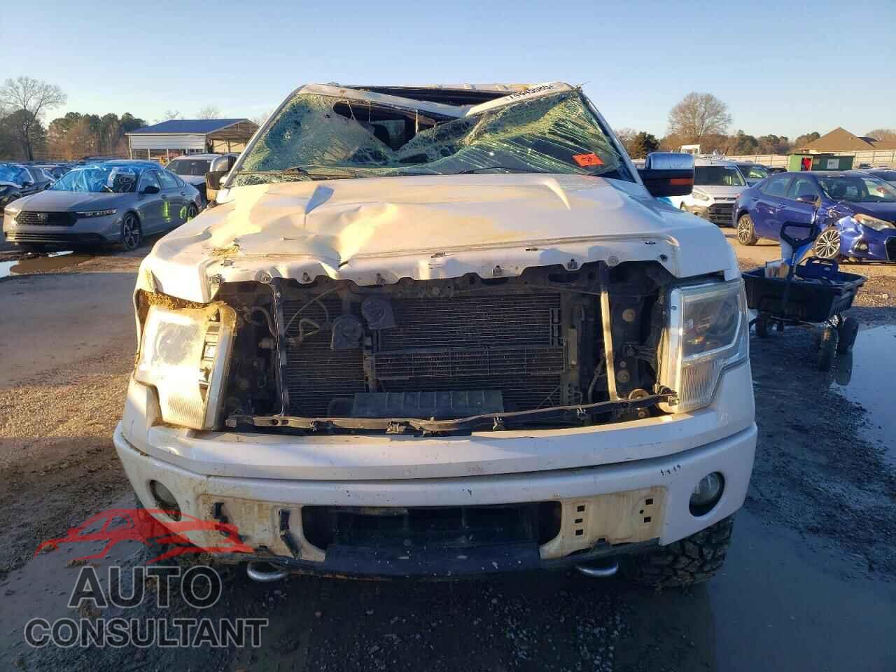 FORD F-150 2014 - 1FTFW1ET4EFA16241
