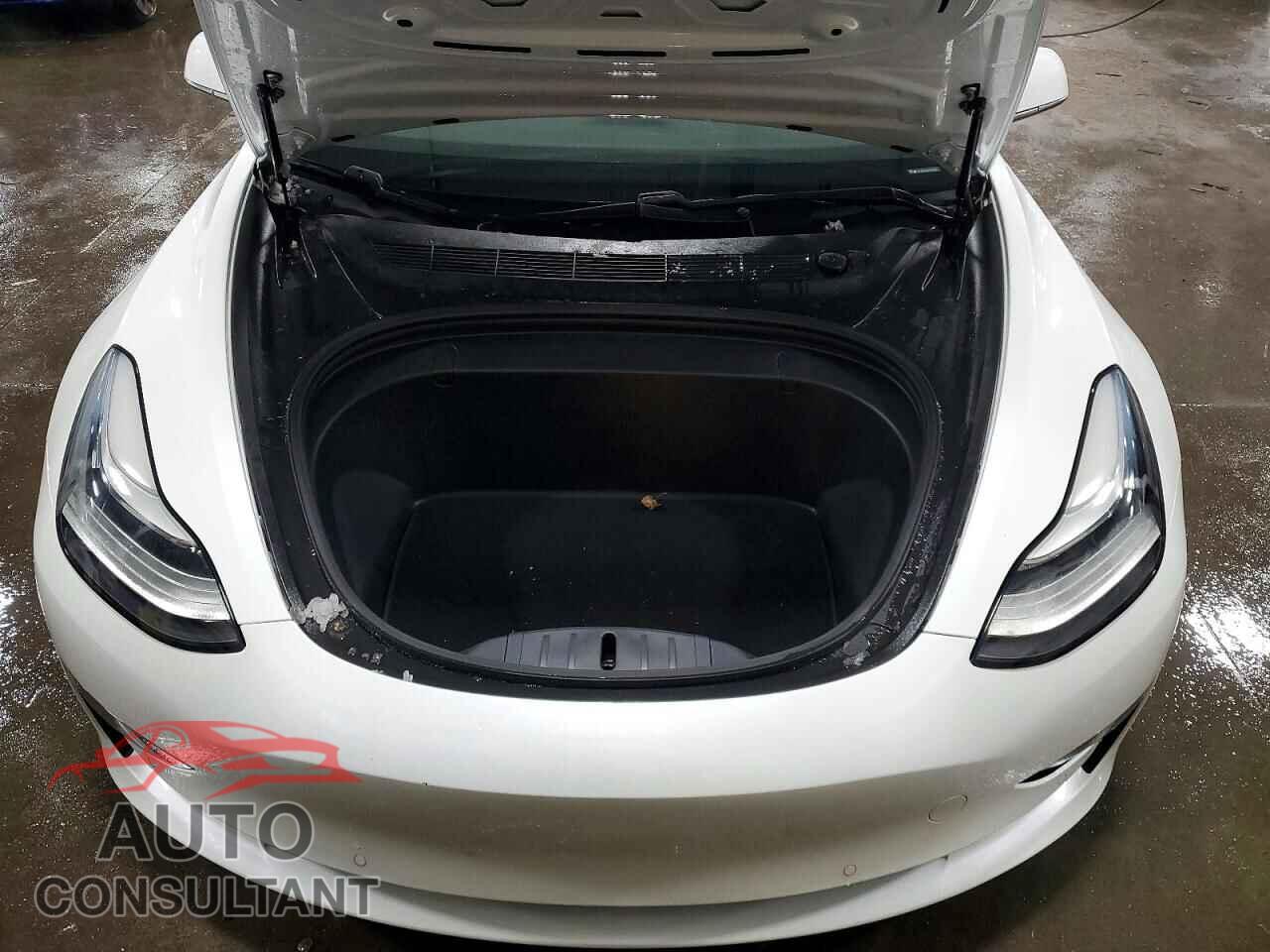TESLA MODEL 3 2019 - 5YJ3E1EB4KF192266