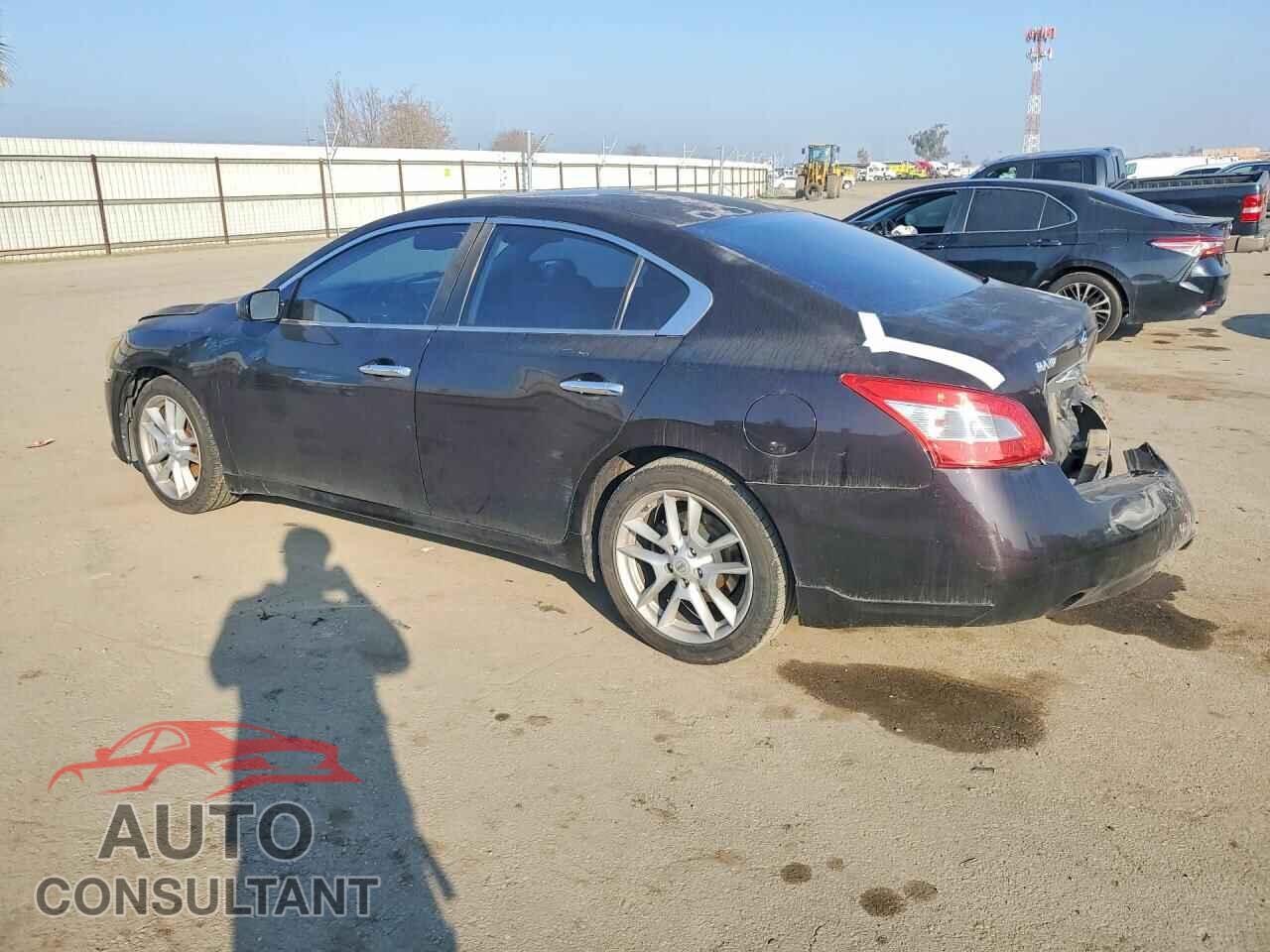 NISSAN MAXIMA 2011 - 1N4AA5APXBC801620