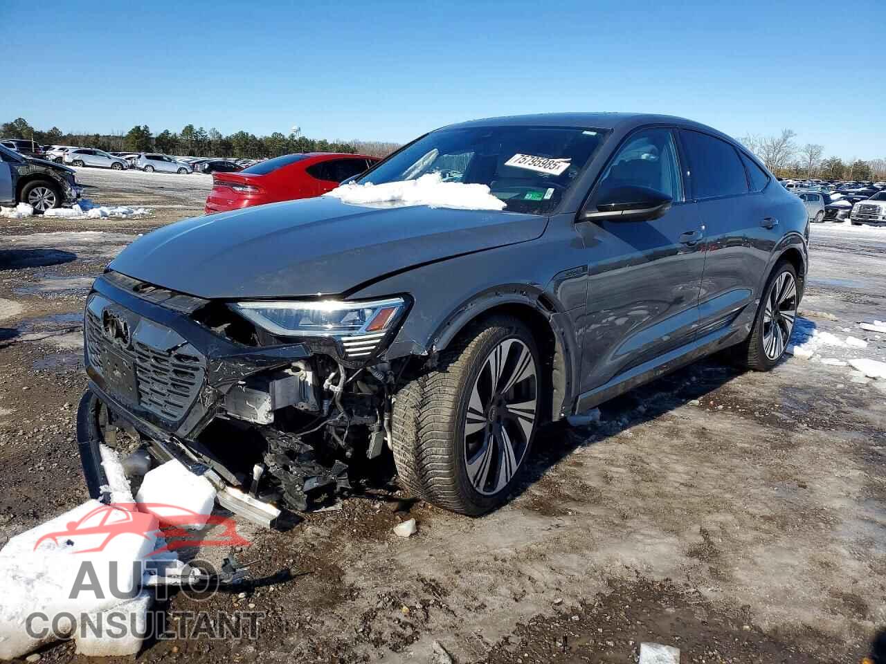 AUDI Q8 E-TRON 2024 - WA1DAAGE2RB056166