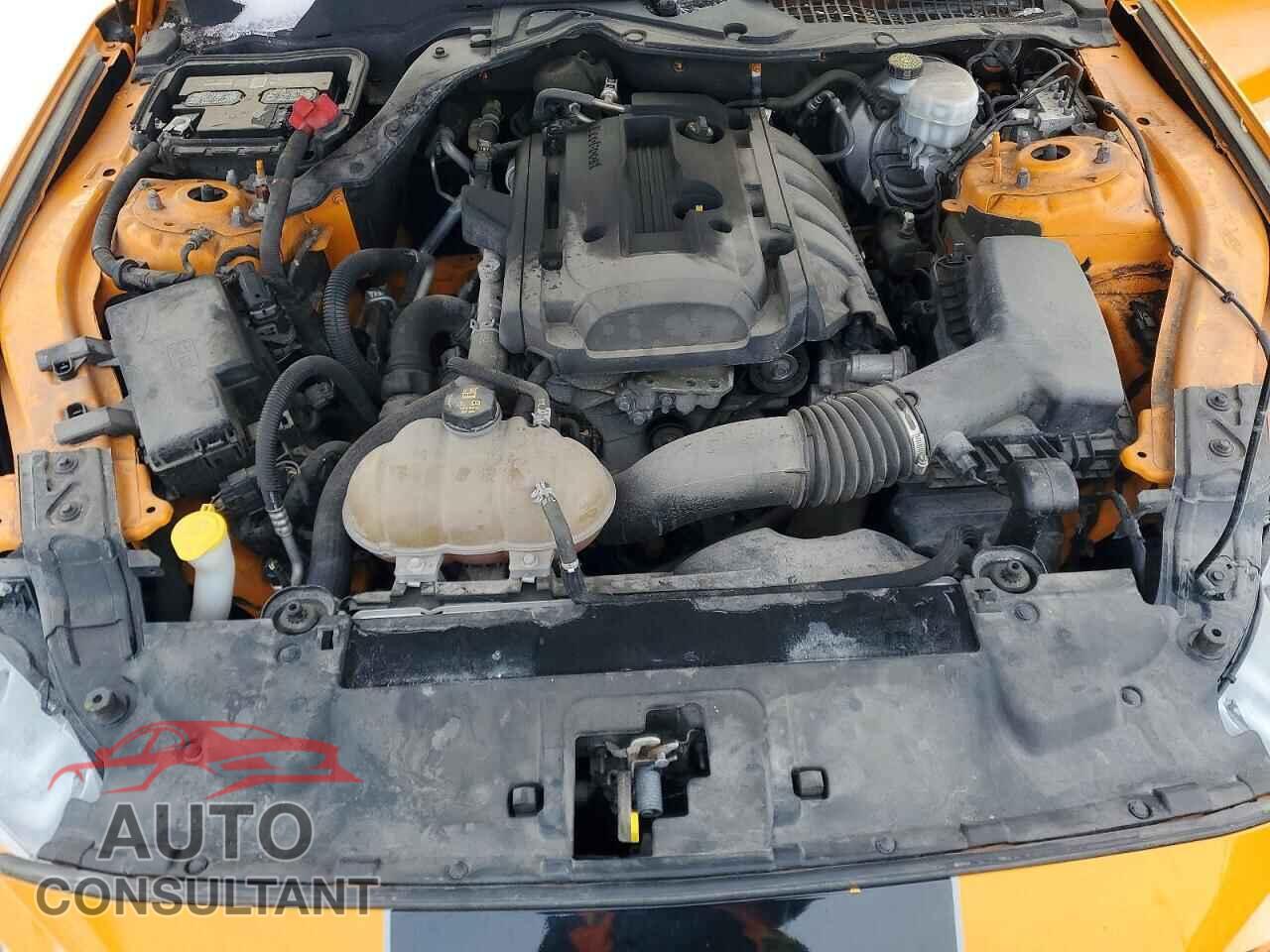 FORD ALL Models 2018 - 1FA6P8TH8J5168985