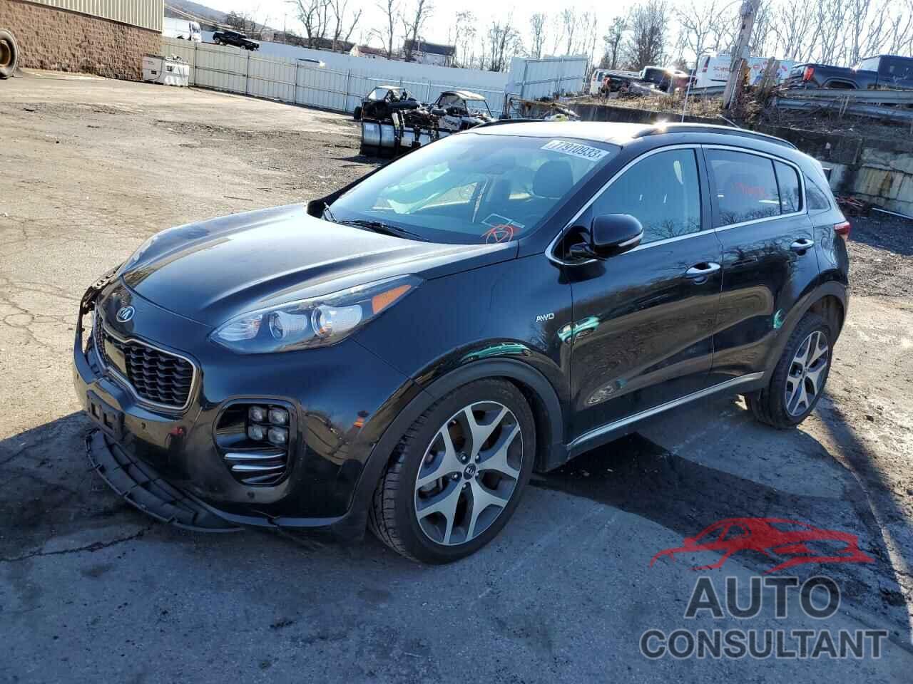 KIA SPORTAGE 2019 - KNDPRCA60K7617157